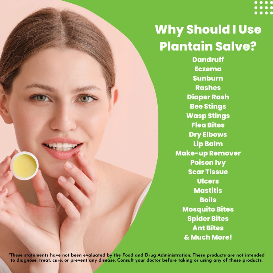 First Aid Ointment: Plantain Salve, for Wound Recovery