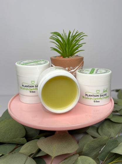 First Aid Ointment: Plantain Salve, for Wound Recovery
