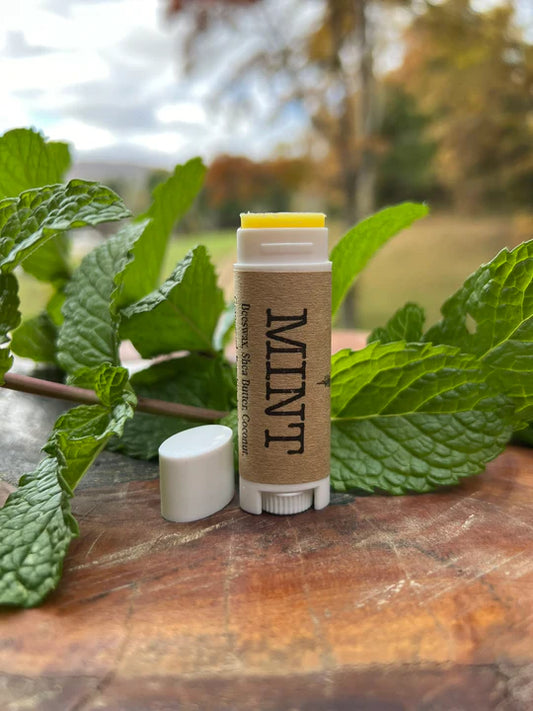 Natural Lip Balm, for Chapped Lips (No-Color)