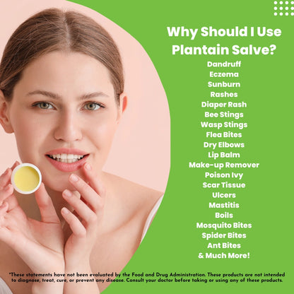 First Aid Ointment: Plantain Salve, for Wound Recovery